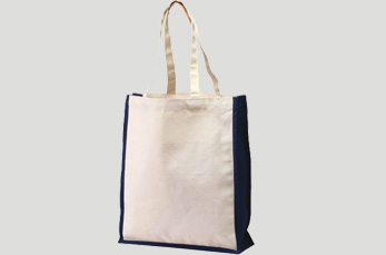 Canvas Two Tone Bag